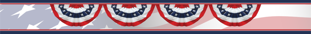 Political Patriotic Banner Campaign Narrow 2